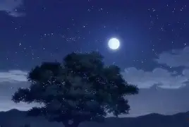 今晚埃因霍温备战法国杯，回应争议细节曝光，压力陡增，团队化学反应显著(埃因霍温足球俱乐部官网)